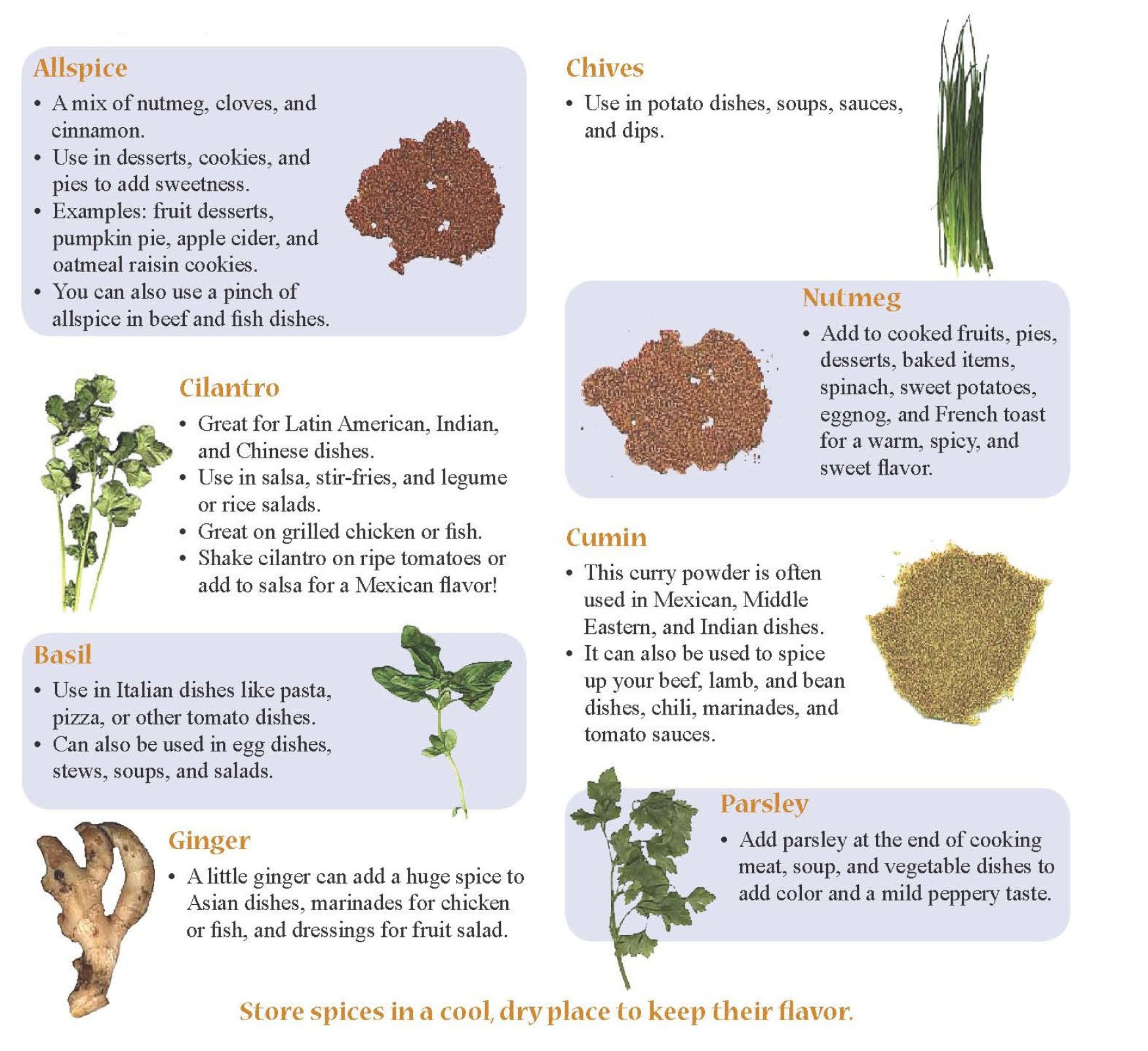 flavor profiles of different herbs and spices