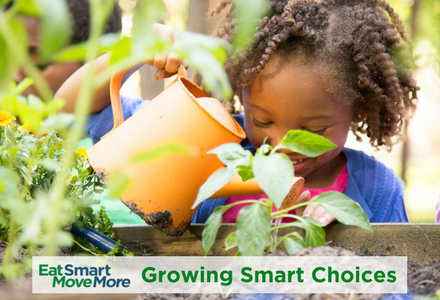 Growing Smart Choices