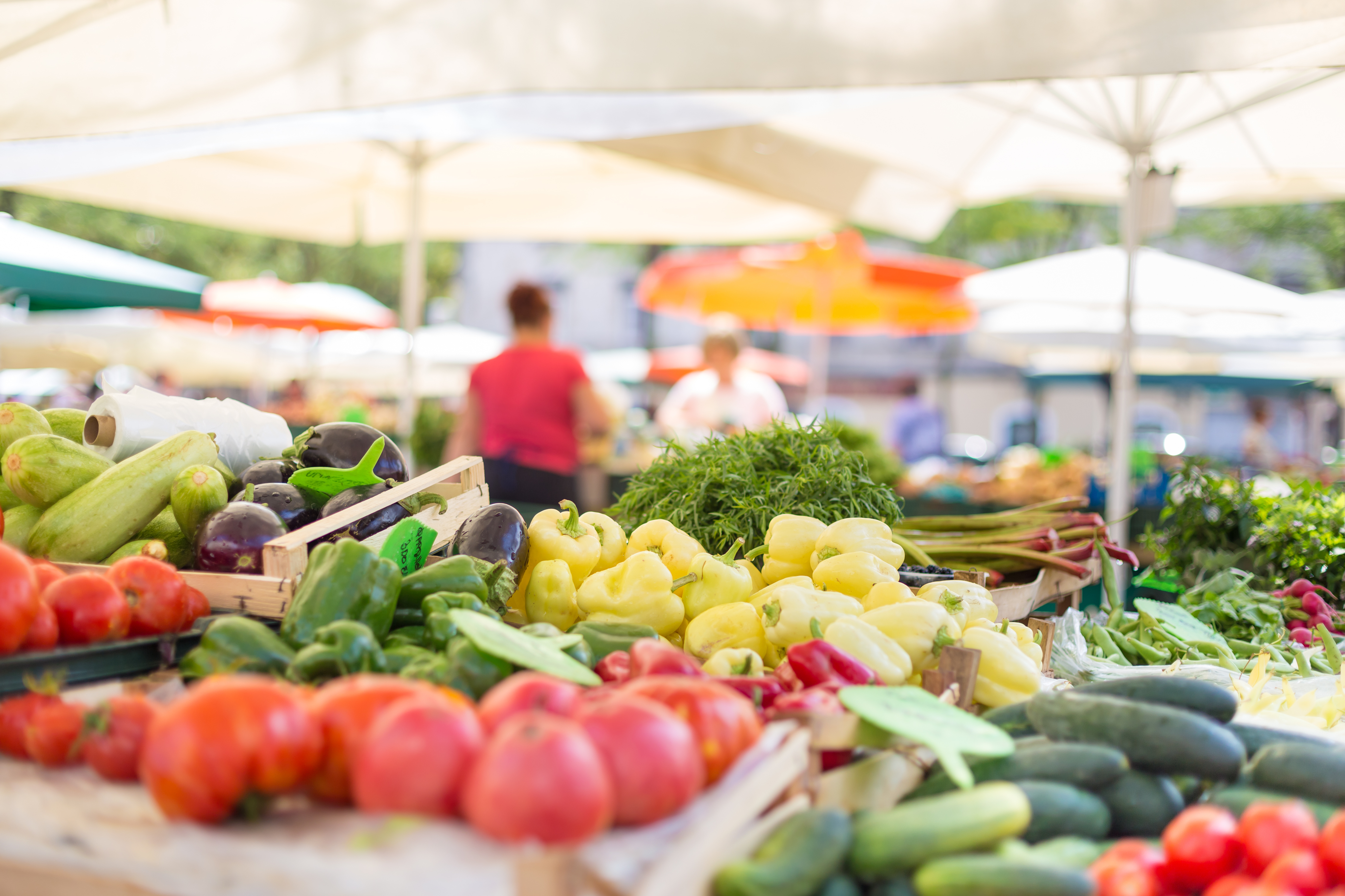 Рынок свежих овощей. Овощи на прилавке. Овощи и фрукты на рынке. Овощи на рынке. Овощной рынок.