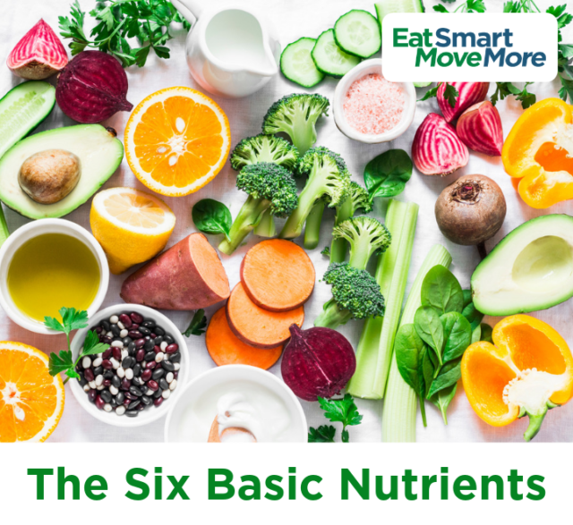 the-six-basic-nutrients-virginia-family-nutrition-program