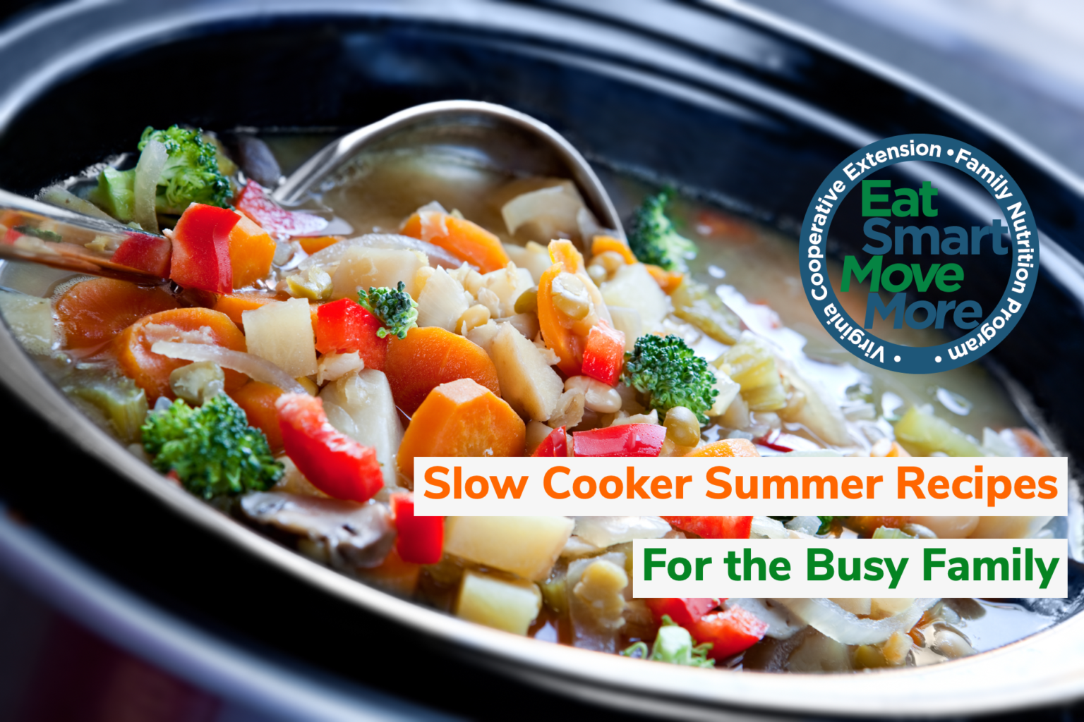 Slow Cooker Summer Recipes for the Busy Family Virginia Family