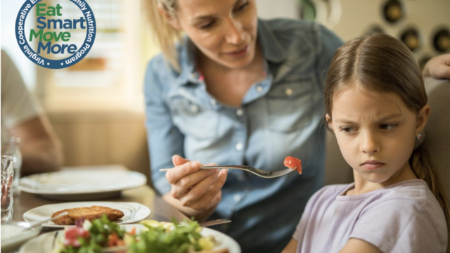 Tips and Tricks to Use for Your Picky Eaters at Mealtime