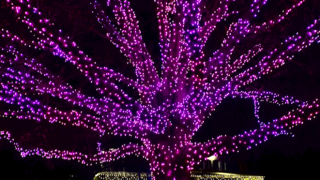 2020 Walkable Holiday Light Tours